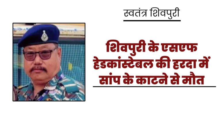 Picsart 25 08 29 12 54 38 091