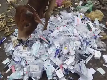 dd4b4c7c aec2 4944 8bba 3aba7ca4281a 1754484967213