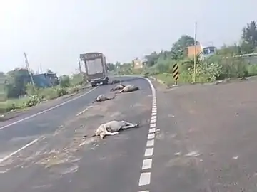 e4070055 8c21 4241 8135 2f21281ad8e3 1754985013387