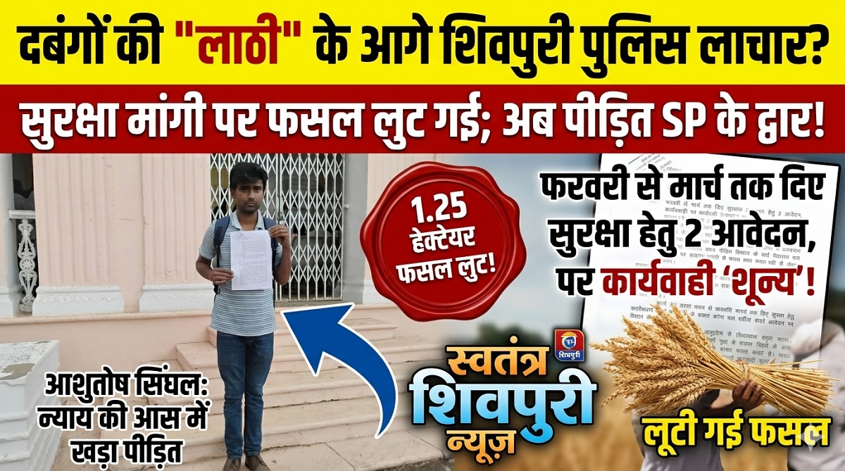 वैश्य परिवार की 1.25 हेक्टेयर की फसल काट ले गए दबंग: एसपी से गुहार के बाद भी नहीं मिली सुरक्षा, अब न्याय के लिए दर-दर भटक रहा पीड़ित