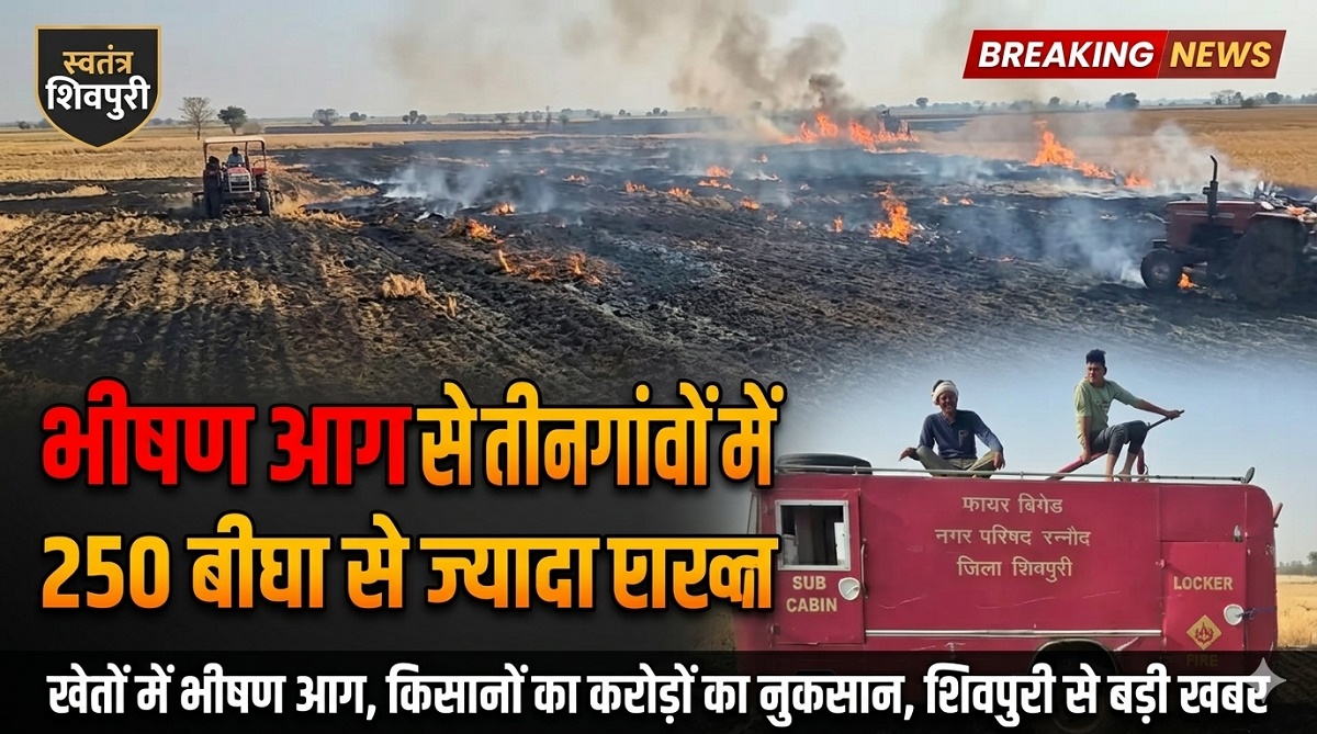 SHIVPURI NEWS-भीषण आग से तीन गांवों में 250 बीघा से ज्यादा फसल राख