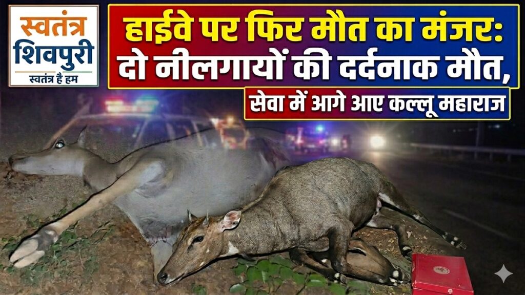 swatantra shivpuri 3
