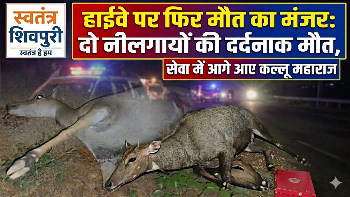 swatantra shivpuri 3