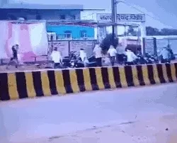 1000777194