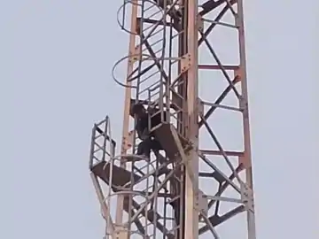 1000886938