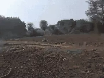 1000899063