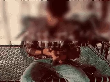 1000929160