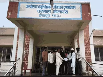 1000933556