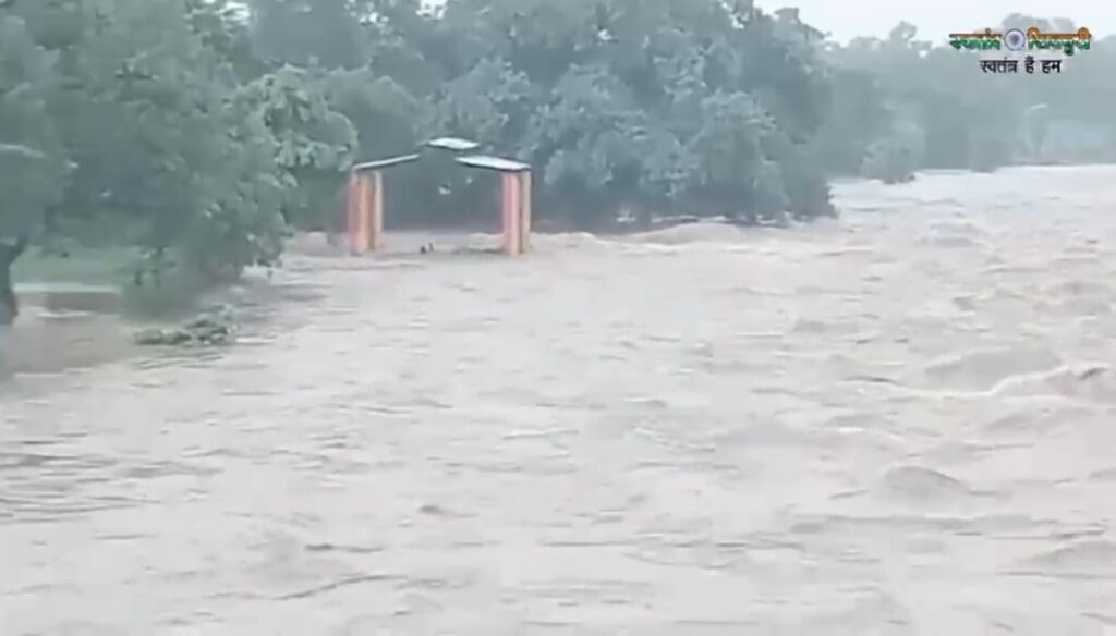 1005547229