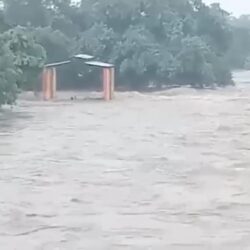 1005547229