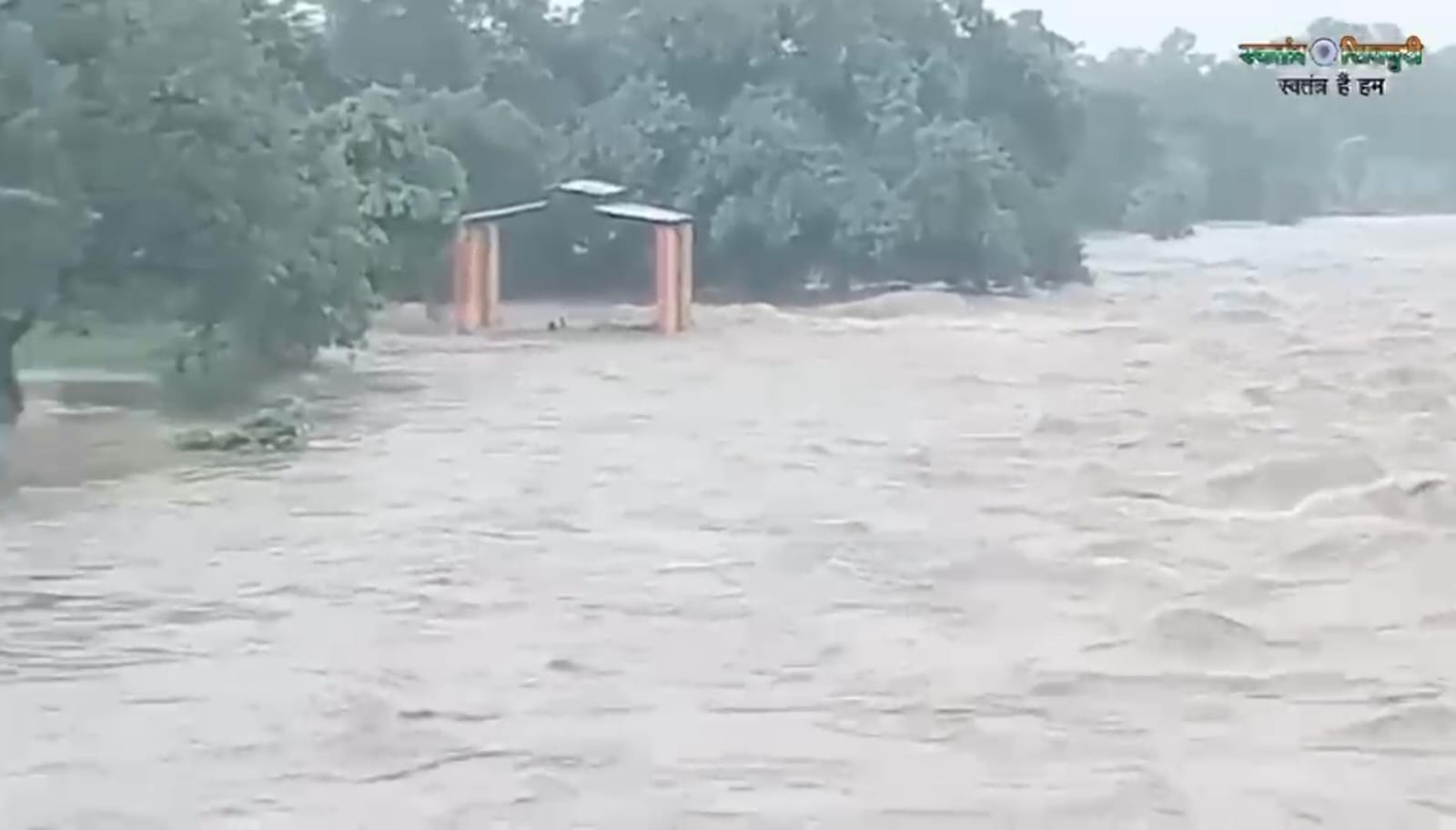 1005547229